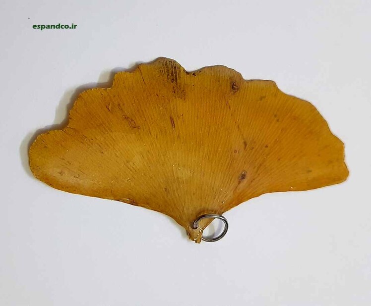 سازه هنری ژینگو